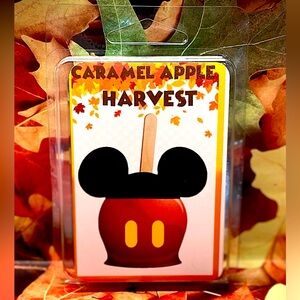 Caramel Harvest Wax Melts